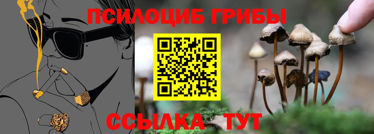 Псилоцибиновые грибы мухоморы Ноябрьск